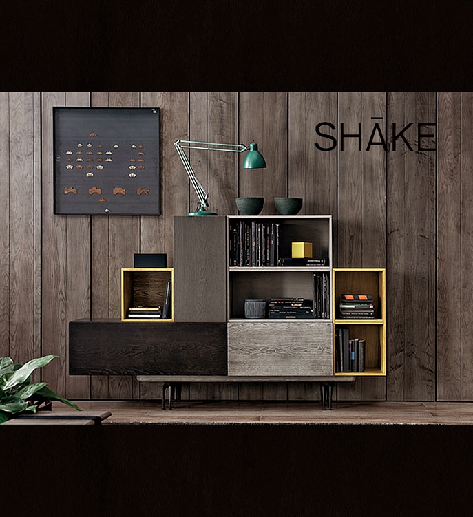 Модульная программа для гостиной Sistema 5 коллекция SHAKE Фото N3